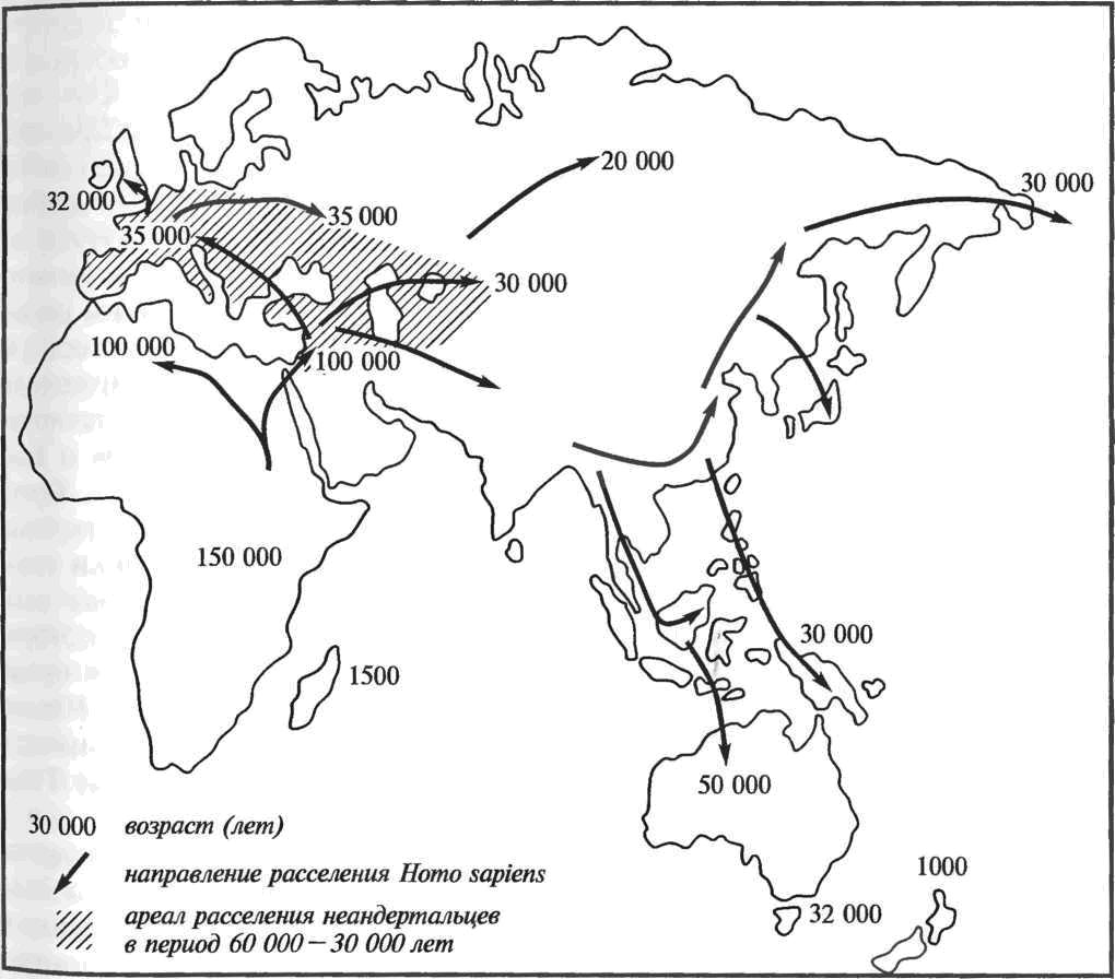 Расселение Homo sapiens в мустье и верхнем палеолите