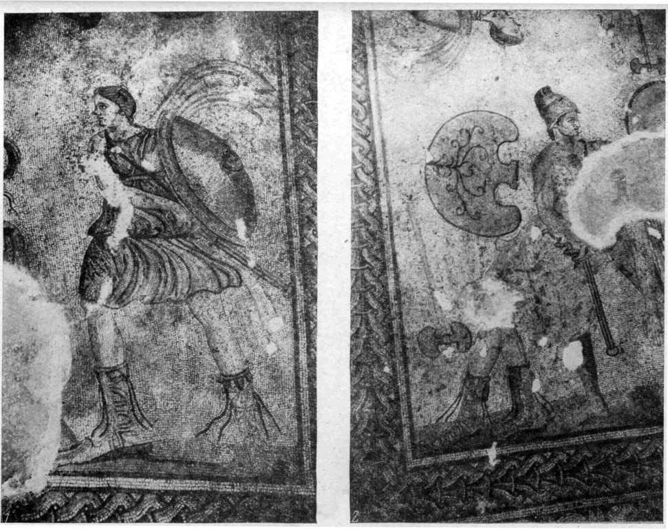 Рис. 29. Фрагменты (1, 2) мозаичного поля с изображением амазономахии