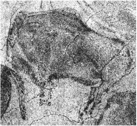 Рис. 3. Позднепалеолитическое полихромное изображение бизона (длина - 1,5 м) в пещере Альтамира, Испания.