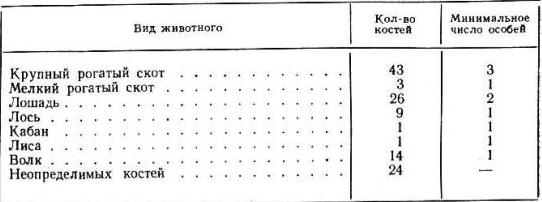 Таблица. Состав костных остатков на поселении Ново-Шадрино II