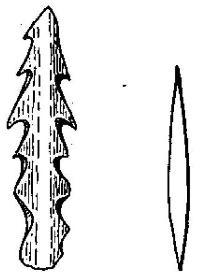 Рис. 131. Гарпун из оленьего рога (2/5) и костяной наконечник стрелы (1/3) (Швейцария).