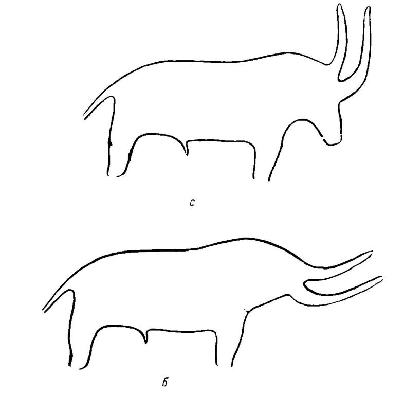 Рис. 8. а - изображение в "мамонтовом гроте"; б - проекция головы быка в наклонном положении