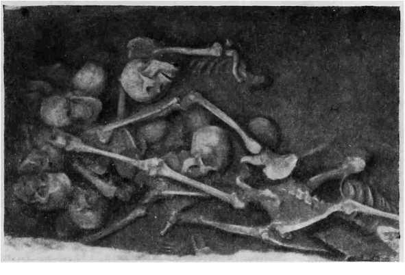 Рис. 4. Черепа и кости в могиле, вскрытой около большой гробницы, раскопанной в окрестностях Аньяна (провинция Хэнань).