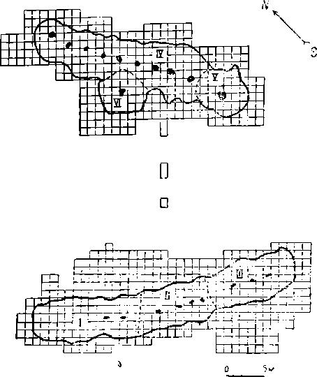 Рис. 10. Палеолитическое поселение Костенки IV (план). Наверху раскоп 1938 г.; внизу раскоп 1937 г.