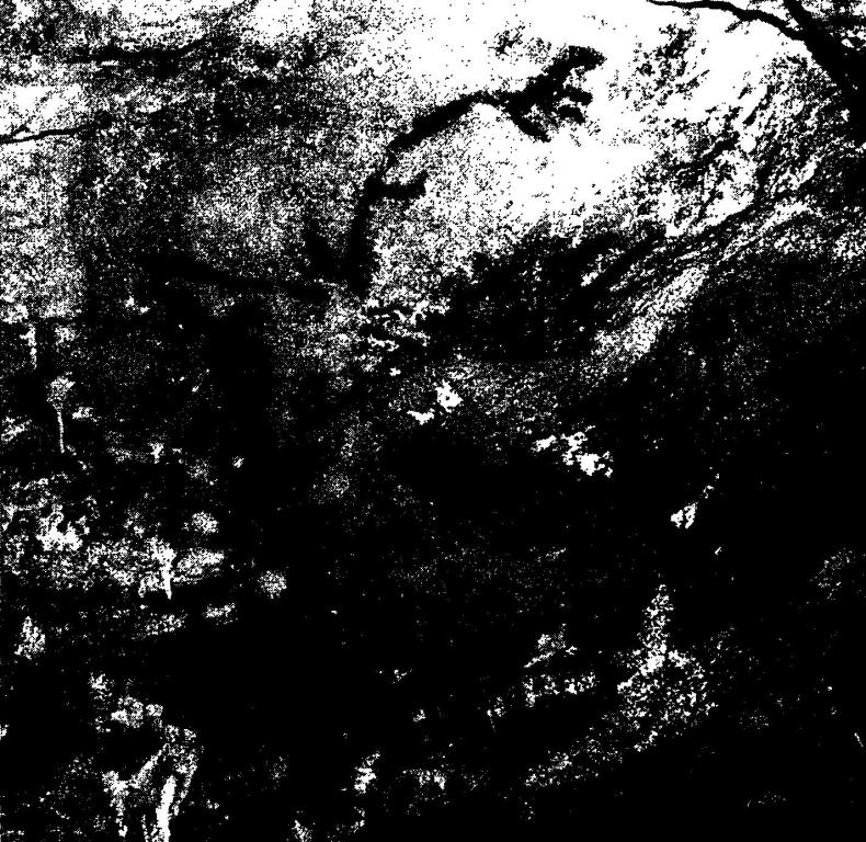 Рис. 37. Изображения животных в пещере Коске относятся ко второй фазе изобразительной деятельности, 19-18,5 тысяч лет назад