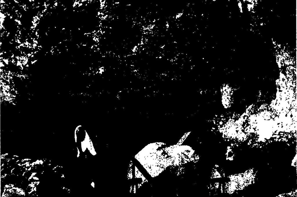 Рис. 42. Копия петроглифов северо- западного Вайоминга, выполненная Олсон
