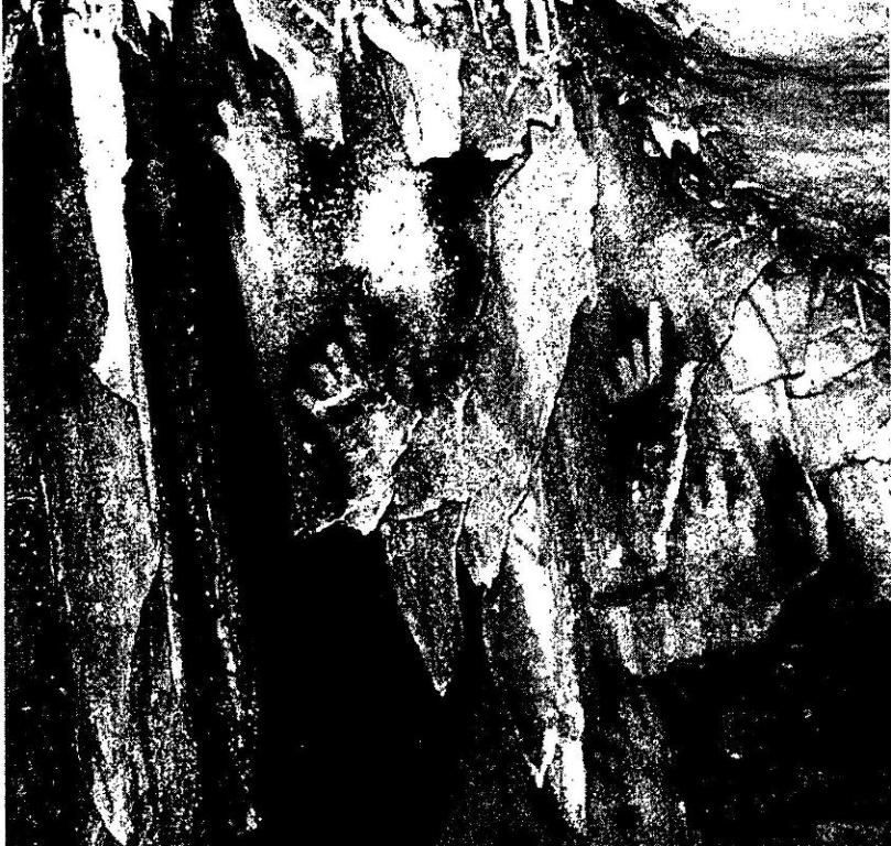 Рис. 36. Изображения кистей рук с предплечьем связаны с первой фазой изобразительной деятельности в пещере Коске. Примерно 27 тысяч лет назад были выполнены по трафарету” кисти рук и так называемые макароны
