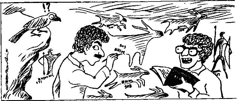 Рис. 46. Карикатура из индийского журнала по наскальному искусству, выпуск которого в частности был посвящен профессиональной этике исследователей