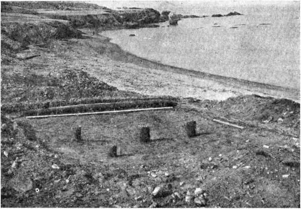 Рис. 1. Раскопанные остатки дома на Руссекейла II