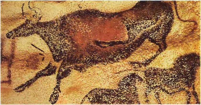 Бизон. Нио (Франция). Верхний палеолит.
