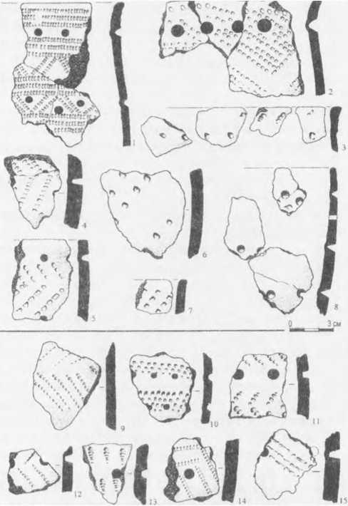 Рис 1. Керамика стоянок Кожух I (1-8) и Большой Берчикуль 7 {9 15). Рисунки выполнены С.Н. Леонтьевым