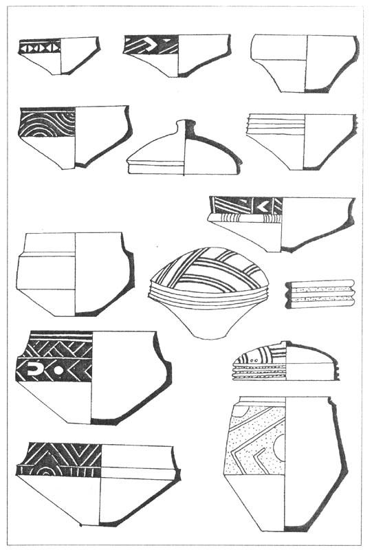 Рис. 17. Керамика гумельницкой культуры. Темными зонами на поверхности посуды показана роспись графитом [Vajsova H., 1969].