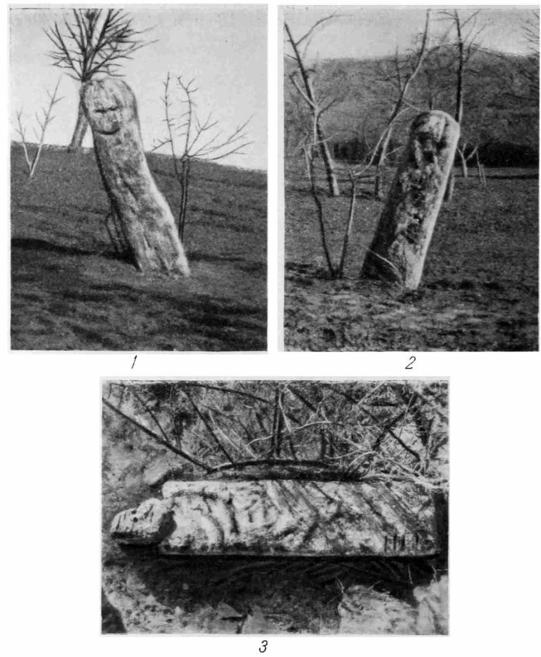 Рис. 43. Каменные фигуры древнеславянских идолов (фото). Первая фигура: 1 — вид с южной стороны; 2 — вид с западной стороны; вторая фигура: 3 — вид сверху