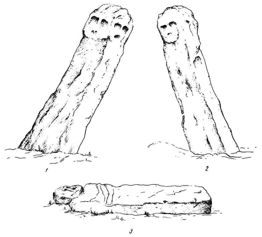 Рис. 44. Зарисовка тех же фигур древнеславянских идолов. Первая фигура: 1 — вид с северо-западной стороны; 2 — вид с юго-восточной стороны; вторая фигура: 3 — вид сверху