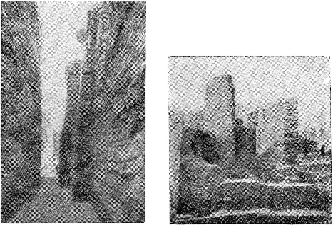 Рис. 3. Раскрытые остатки сооружений в Мохенджо-Даро