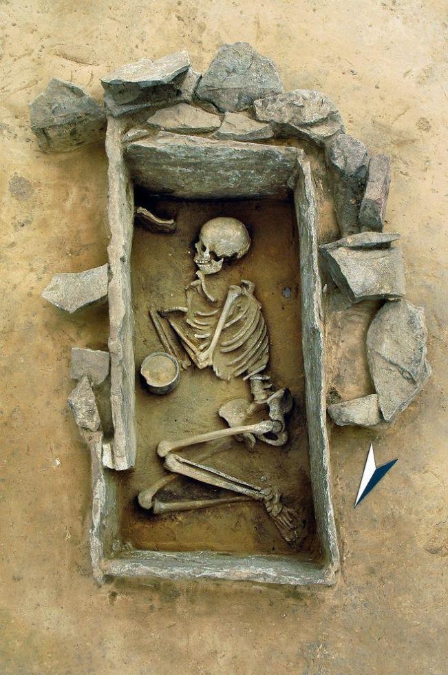 Молодая женщина, похороненная в Германии более 4000 лет назад, принадлежала к скотоводам-мигрантам с востока.