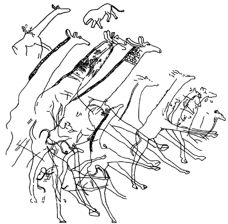 Рис. 15. Горизонтальная плоскость площадью около 120 м3 с изображениями гигантских жирафов, Уэд Джерат, Алжир