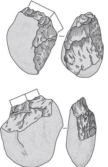 Рис. 11.3. Эти нуклеусы из ущелья Олдувай, Танзания, являются одними из самых древних орудий человека. Стрелками обозначены рабочие поверхности