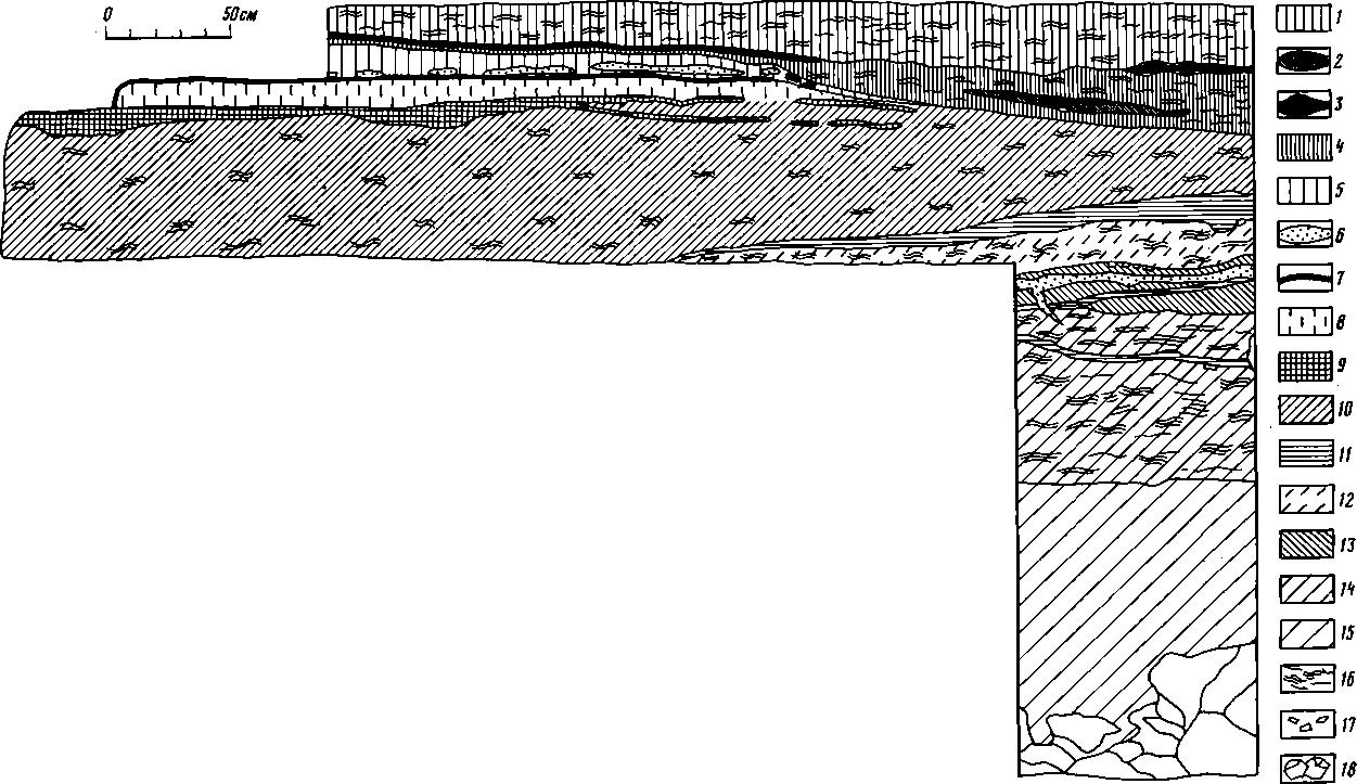 Рис. 2. Каповая пещера. Зал Знаков. Раскоп. Стратиграфическое положение верхнепалеолитического культурного слоя в разрезе отложений (северная стенка) 1 — суглинок коричневато-сёрый; 2 — прослойка буровато-коричневого суглинка; 3 — прослойка сизо-серой глины; 4 — суглинок серый; 5 — суглинок коричневый; 6 — прослойка песка; 7 — совмещенные прослойки черного сажистого и красновато-коричневого охристого вещества; 8 — суглинок коричневато-серый; 9 — культурный слой верхнего палеолита; 10 — суглинок светло-коричневый; 11 — глина буровато-коричневая; 12 — суглинок желтовато-коричневый; 13 — суглинок коричневый; 14 — суглинок коричневый с буроватым оттенком; 15 — суглинок коричневый неслоистый; 16 — обозначение слоистости; 17 — кальцитовые натеки; 18 — глыбы известняка
