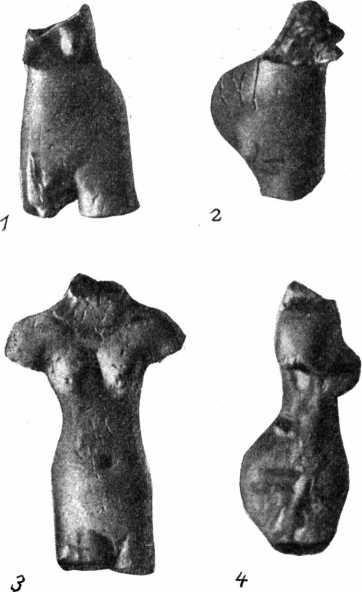 Рис. 4. Кара-депе. Глиняные статуэтки (1—4; период Намазга I).