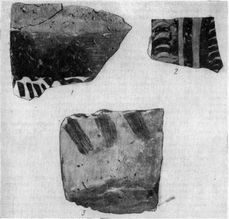 Рис. 1. Расписная керамика из слоя Кюль-тепе I. 1 — с глубины 16,85 м; 2 — с глубины 18,8 м; 3 — с глубины 17,35 м.