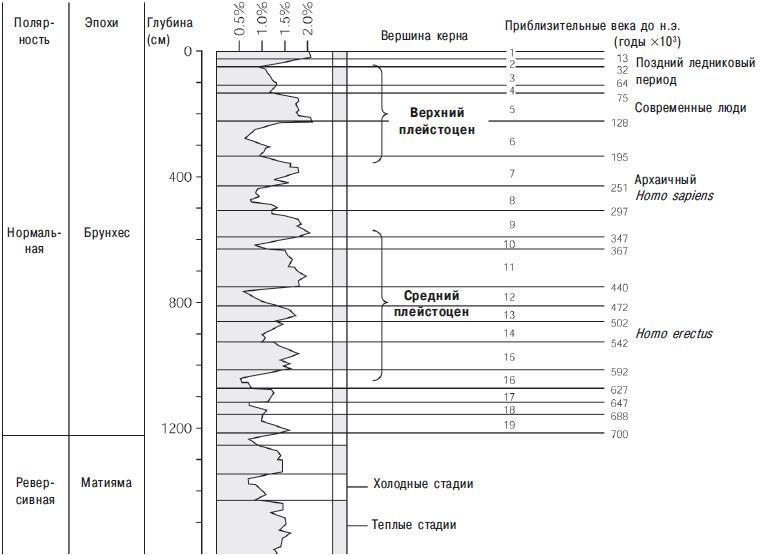 Рис. 12.4. Глубоководный керн, служащий стандартным эталоном для последних 780 000 лет, взят на Соломоновом плато в юго-западной части Тихого океана. Явление Матияма-Брюнхес произошло на глубине 11,9 метра. Выше него по пилообразной кривой идентифицируют по крайней мере восемь полных ледниковых (гляционных) и межледниковых (интергляционных) циклов
