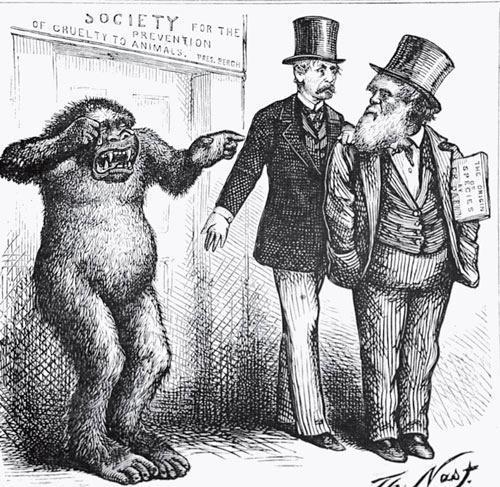 Рис. 2.5. Карикатура Томаса Нэста, высмеивающая дарвиновское предположение о том, что человек и обезьяна родственны между собой 