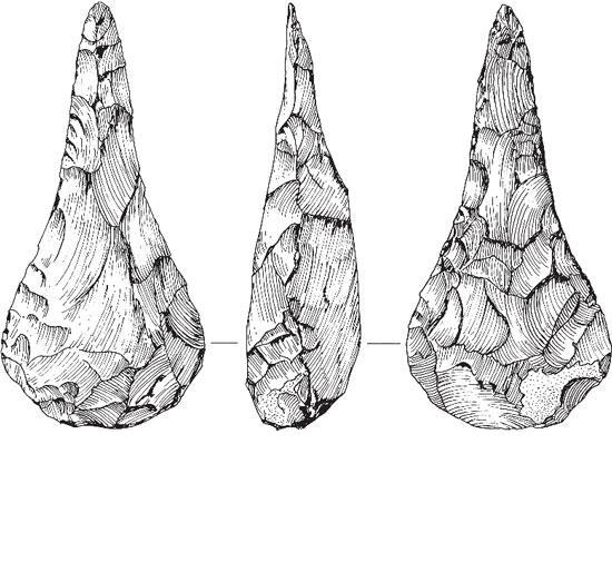 Рис. 2.4. Каменный топор, обнаруженный в тех же геологических слоях, что и кости вымерших животных. Этот экземпляр был найден Джоном Фрером в Хоксне, Англия 