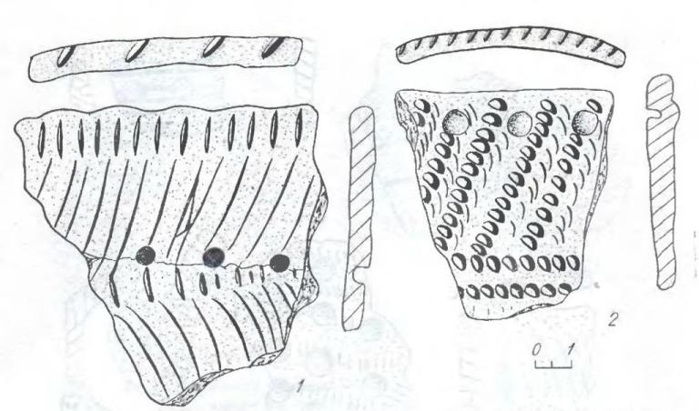 Рис. 3. Фрагменты керамики из комплекса Крохалевка-4 орнаментированные: 1 — прочерчиванием и насечкой; 2 — отступающей лопаточкой и жемчужинами.