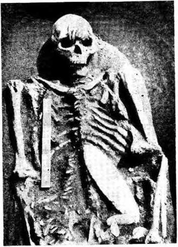 Погребение 7 могильника Лебеди II (фрагмент)