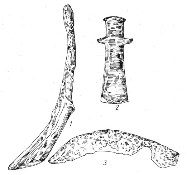 Рис. 69. Деревянный сошник (1), железное тесло (2) и железные серп (3) с Бискупинского городища