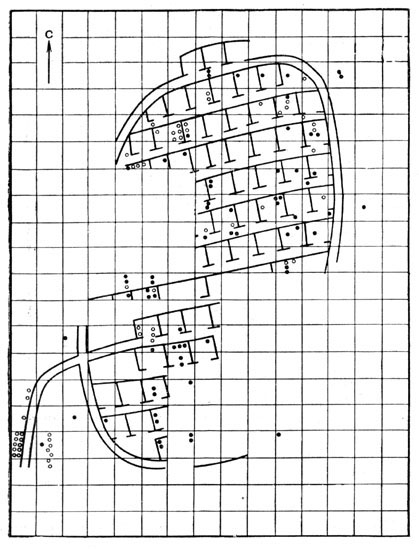 Рис. 55. План-схема жилых сооружений Бискупинского городища