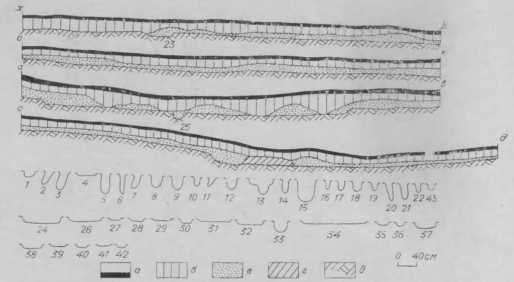 Рис. 4. Стратиграфия раскопа 1977 г. Жилище № 1. а — дерн; б — серый суглинок; в — красноватый суглинок; г — материковый останок; д — материк.