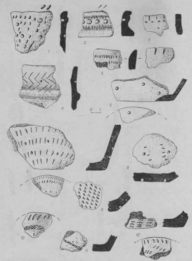 Рис. 7. Фрагменты керамики. 1-10, 12 — из поселения Марково-2; 11 — из стоянки Кама-2.
