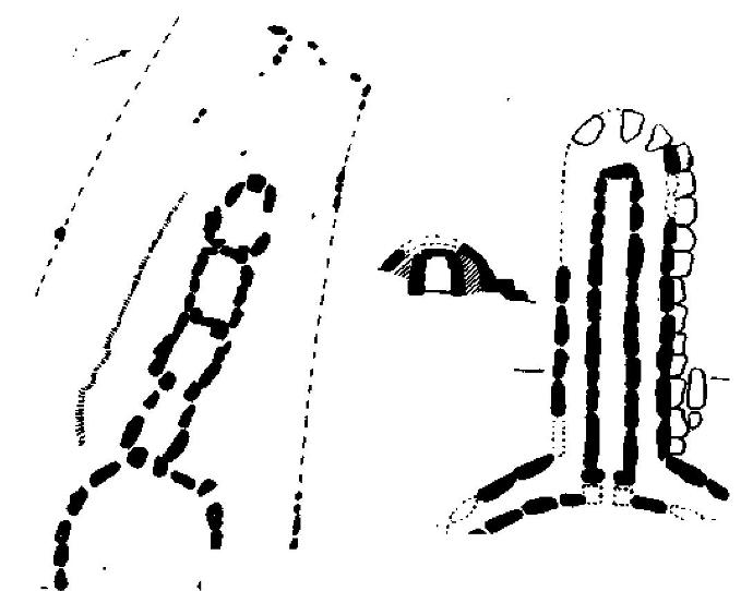 Рис. 106. Сегментированный ящик в рогатой пирамиде из камней (Северная Ирландия) и «гробница гигантов» (Сардиния).