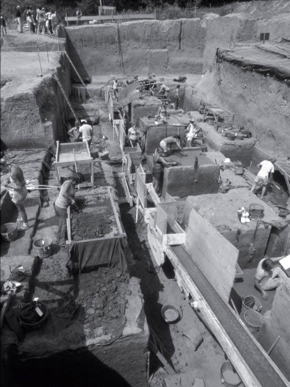 Рис. 9.2. Общий вид раскопок памятника Костер на юге Иллинойса
