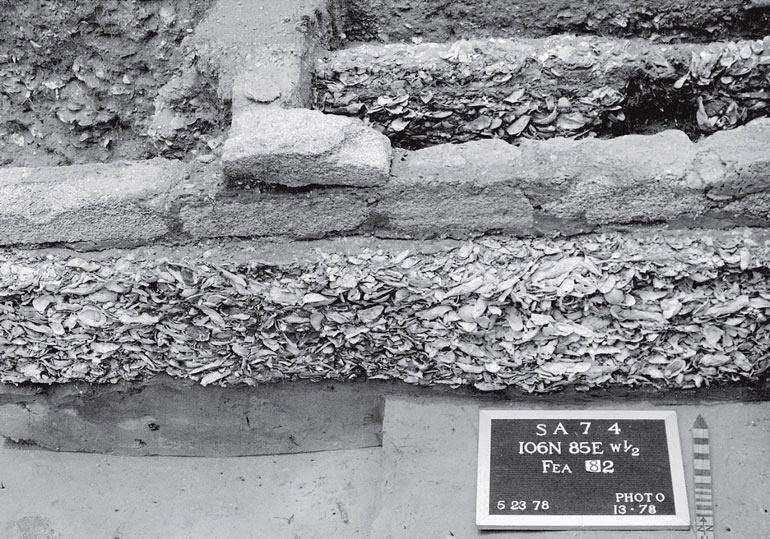 Рис. 9.7. Горизонтальные раскопки в Сейнт-Августине, Флорида. Видно основание дома начала XVIII века из материала с раковинами устриц 