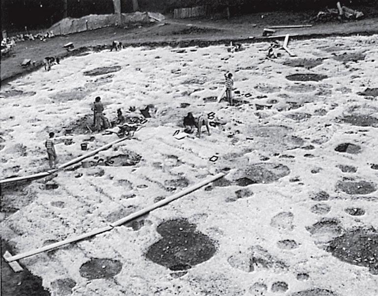 Рис. 9.1. Раскопки по горизонтальной сетке укрепленного холма в Дейнбюри, Англия. Это исследование проводилось в течение многих лет, и его проекты постоянно модифицировались