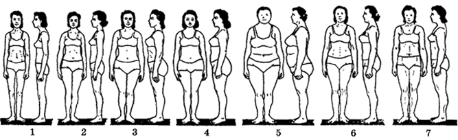 Рис. VII. 2. Типы телосложения женщин (по схеме И.Б. Таланта): 1 - астенический, 2 - стенопластвческий, 3 - пикнический, 4 - Мезопластический, 5 - эврипластический, 6 - субатлетический, 7 - атлетический