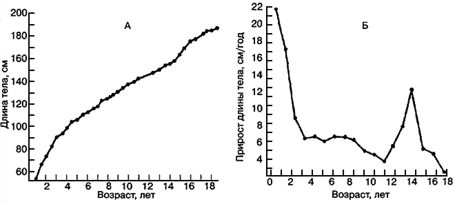 Рис. VI. 1. Увеличение длины тела сына де Монбейяра с момента рождения (1759 г.) до 18 лет. А - длина тела; В - скорость роста (годичный прирост длины тела) 