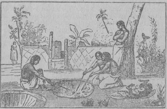 Рис. 9. Печь в Полинезии (Тонга).