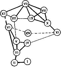 Рис. 26. Граф связей между орнаментами на крышках котлов из Пенджикента (по Маршаку) величины показателя, мы получим на каком-то шаге связный граф, после чего нужно остановиться.