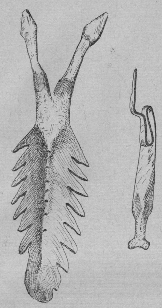 Рис. 4. Изображение орла (подвеска). Кеты. По В. И. Анучину.