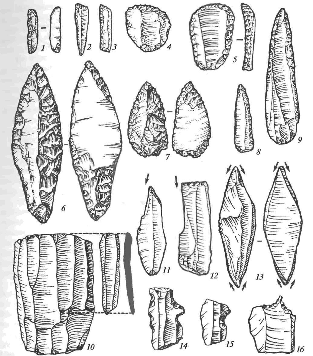 Каменные орудия верхнего палеолита: 1-3 — микропластинки с ретушью; 4, 5 — скребки; 6,7 — наконечники; 8, 9 — острия; 10 — призматический нуклеус со сколотой с него пластиной; 11-13 — резцы; 14, 15 — зубчато-выемчатые орудия; 16 — проколка 