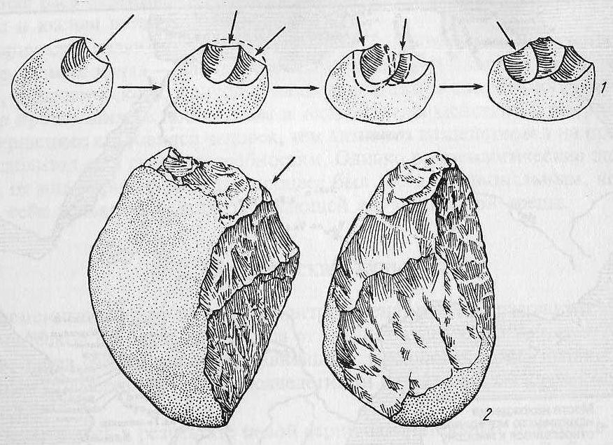 Олдувайская культура: 1 — техника обработки камня (по Р. Лики); 2 — древнейшие орудия труда из гальки