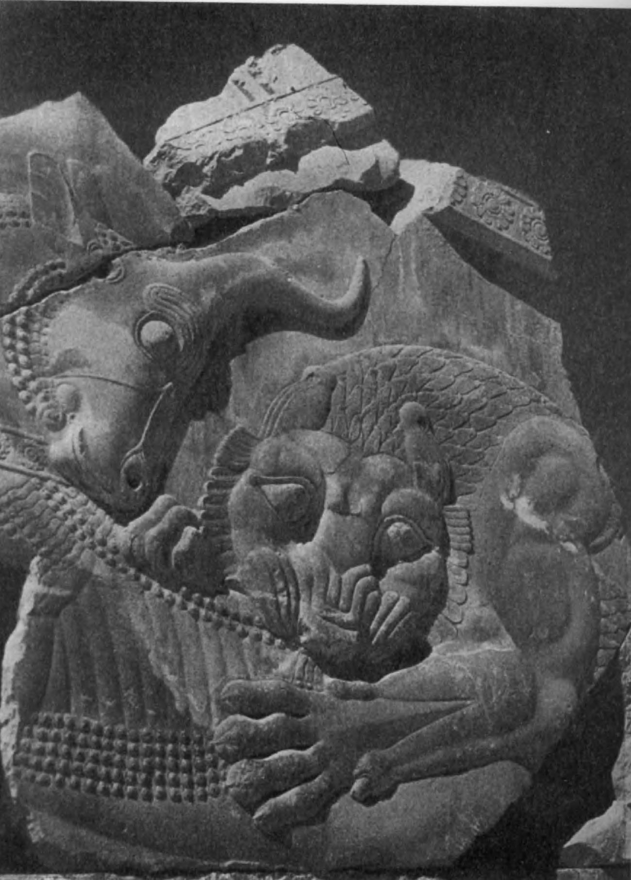 27. Персеполь. Рельеф с изображением льва, убивающего быка. Эта сцена отражает какие-то космогонические представления или символизирует могущество царя.