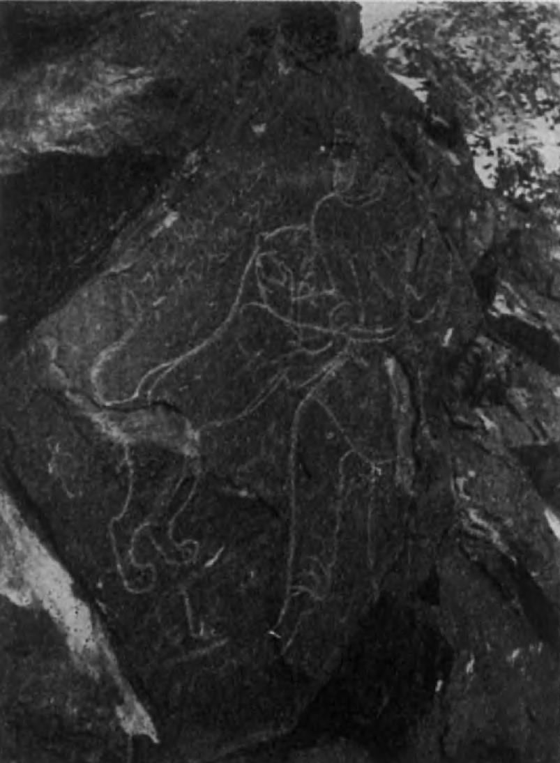 42.	Парфянское граффити из Кал-и Джанггах (близ Бирджанда). Начертанное на скале имя Гари-Ардашир, по-видимому, принадлежало изображенному здесь парфяни¬ну, поражающему голыми руками льва. Вероятно, Гари-Ардашир был правителем городской округи.