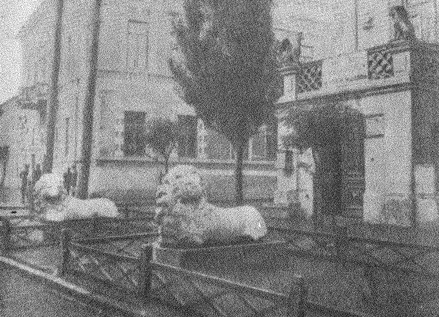 Рис. 5. Мраморные статуи львов, поднятые со дна моря около Фанагории