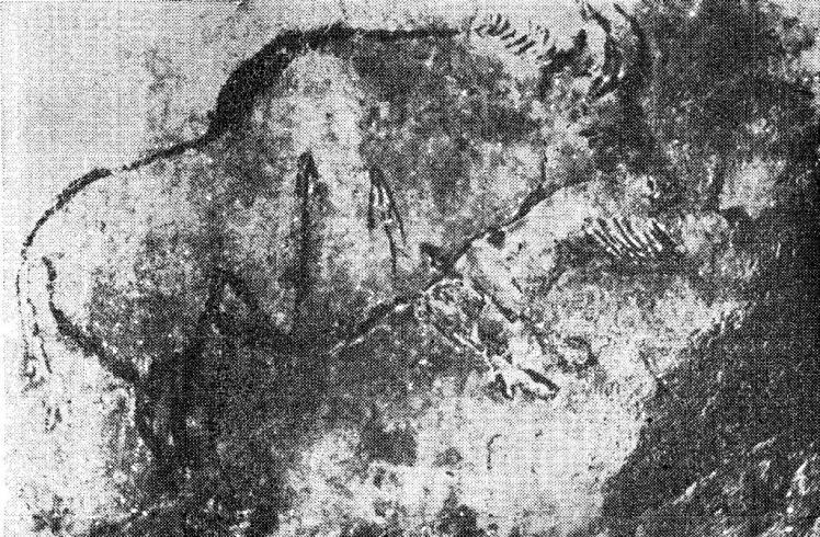 Изображение бизона, раненного стрелами. Мадленская живопись из пещеры Нио, Франция
