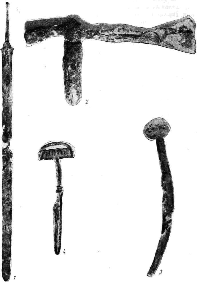 Рис. 10. Неаполь Скифский. Находки из погребений мавзолея 1 — железный меч; 2 — железная секира; 3 — железное навершие (?); 4 — бронзовая фибула